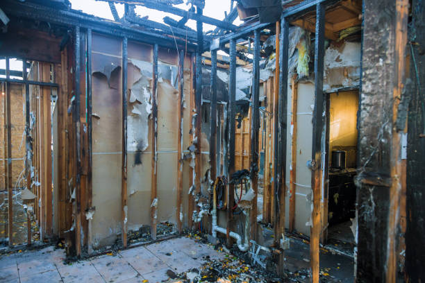 Professional Fire Damage Removal technician working in Madison, MS